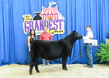 Owned Heifer Class 10