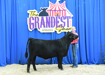 PGS Heifer Class 2
