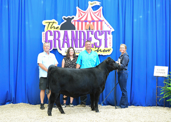 Bred-and-owned Heifer Class 3