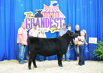 Bred-and-owned Heifer Class 8