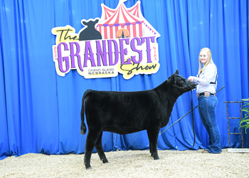 Owned Heifer Class 1