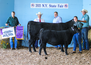 Grand Champion Cow-calf Pair
