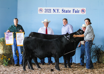 Reserve Grand Champion Cow-calf Pair