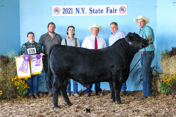 Reserve Grand Champion Bull