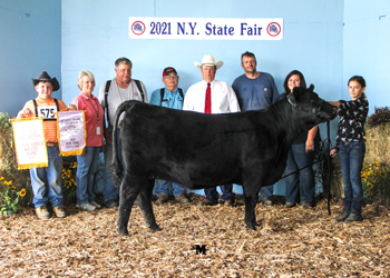 Reserve Grand Champion Female