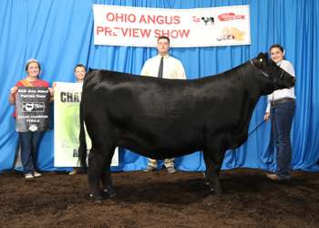 Grand Champion Female