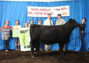 Reserve Grand Champion Female