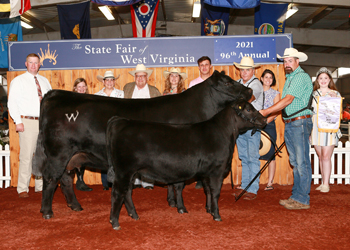 Reserve Grand Champion Cow-calf Pair