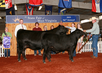 Grand Champion Cow-calf Pair