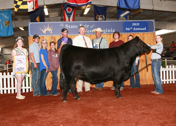 Reserve Grand Champion Female