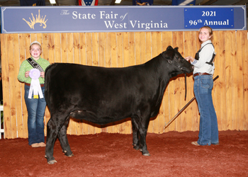 Reserve Intermediate Champion Heifer