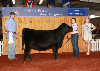 Reserve Senior Heifer Calf Champion