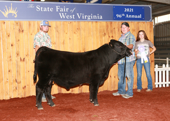 Reserve Junior Bull Calf Champion