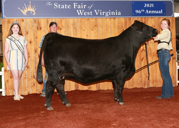 Reserve Senior Champion Female