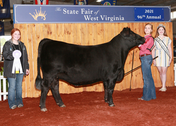 Reserve Junior Champion Heifer