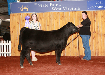 Junior Heifer Calf Champion