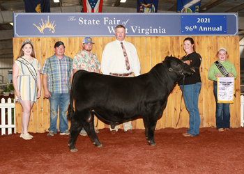 Reserve Grand Champion Bull