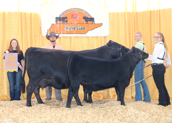 Reserve Grand Champion Bred-and-owned Cow-calf Pair