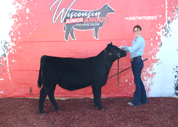 Owned Reserve Fall Heifer Calf Champion