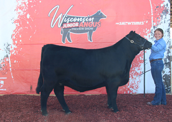 Bred-and-owned Reserve Junior Champion Heifer