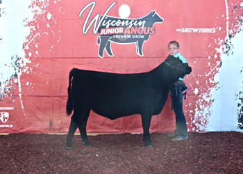 Bred-and-owned Fall Heifer Calf Champion