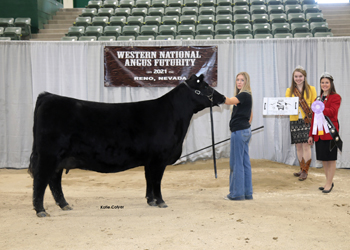 Reserve Junior Champion Heifer