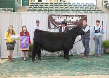 Grand Champion Female