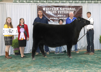 Reserve Senior Heifer Calf Champion