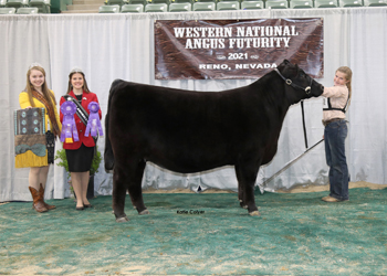 Senior Heifer Calf Champion