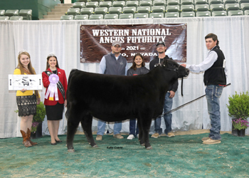 Reserve Spring Heifer Calf Champion