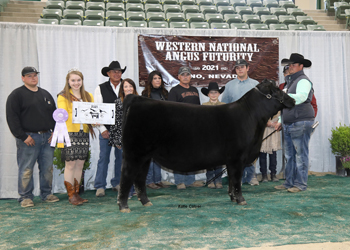 Reserve Early Junior Heifer Calf Champion