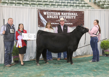 Reserve Late Junior Heifer Calf Champion