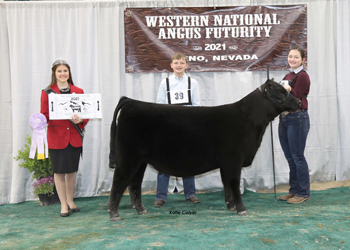 Reserve Fall Heifer Calf Champion