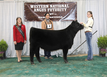 Fall Heifer Calf Champion
