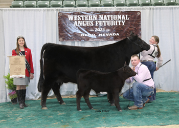 Bred-and-owned Reserve Junior Champion Heifer