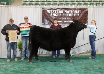 Owned Reserve Junior Champion Heifer
