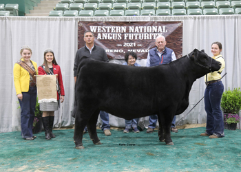 Owned Reserve Intermediate Champion Heifer