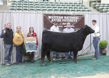 Grand Champion Owned Female