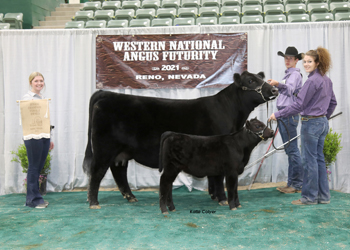 Owned Junior Champion Heifer