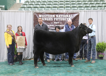 Owned Reserve Senior Heifer Calf Champion