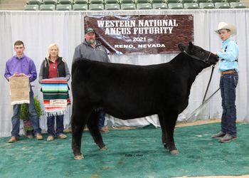Bred-and-Owned Res Early Jr Heifer Calf Champion