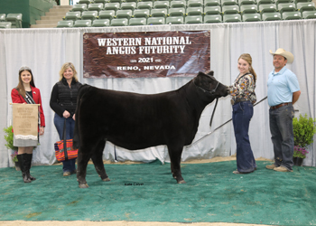 Early Heifer Calf Champion