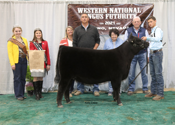 Owned Reserve Summer Heifer Calf Champion