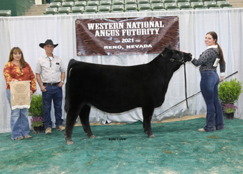 Owned Reserve Early Spring Heifer Calf Champion