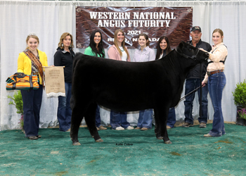 Owned Late Spring Heifer Calf Champion