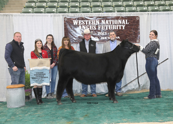 Grand Champion Bred-and-owned Female