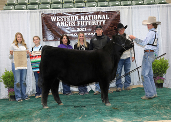 Owned Reserve Late Spring Heifer Calf Champion
