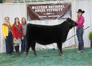 Owned Summer Heifer Calf Champion