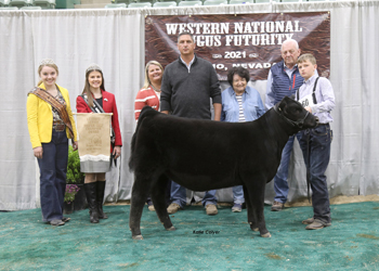Owned Reserve Fall Heifer Calf Champion