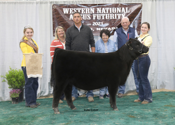 Owned Fall Heifer Calf Champion